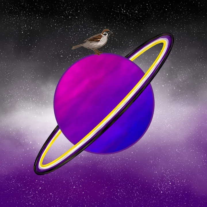 planetary.sparrow