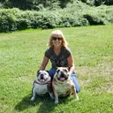 @jill_bartolotta