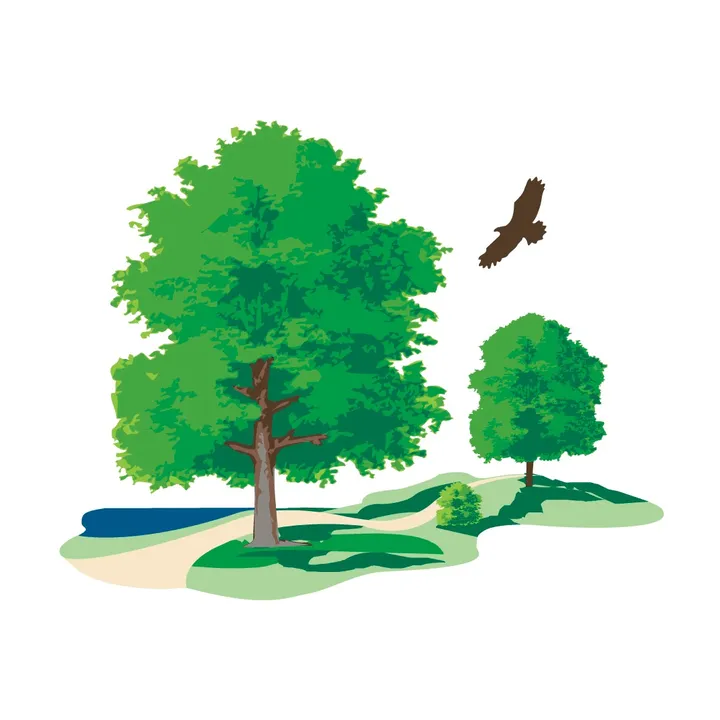 dupageforest