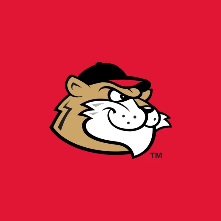 @valleycats