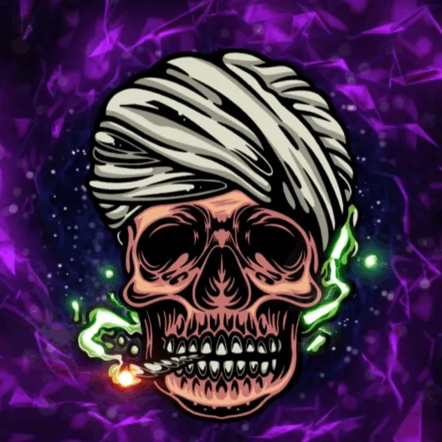 @thehighindian