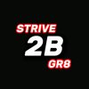 strive2bgr8