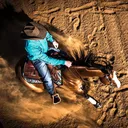 @larsonperformancehorses
