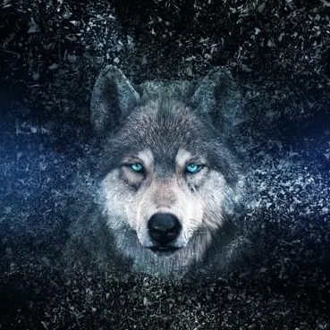 @wolfsongsremedies111