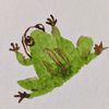 dancingfroggames