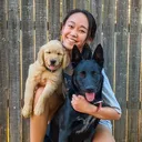 @themudddogs