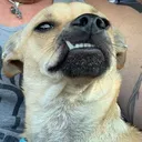 @weronerace