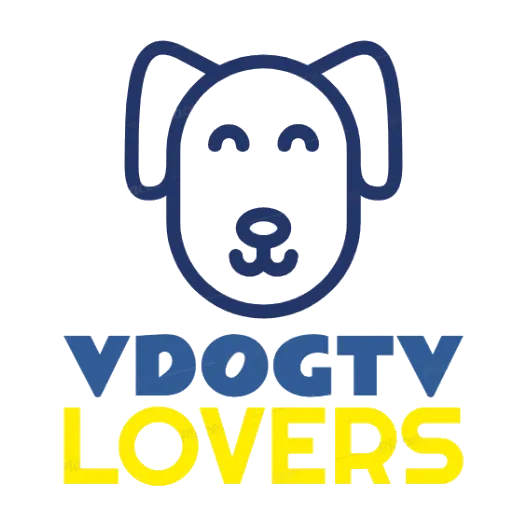 @vdogtv