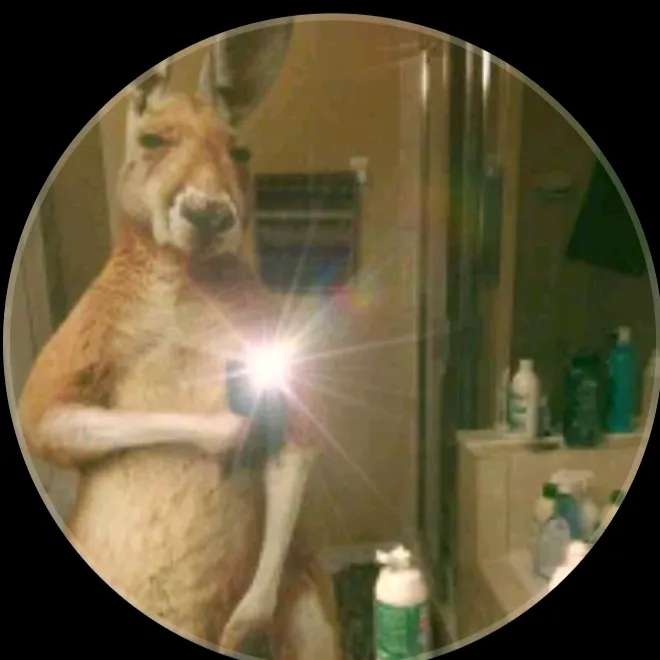 timcanguro000_