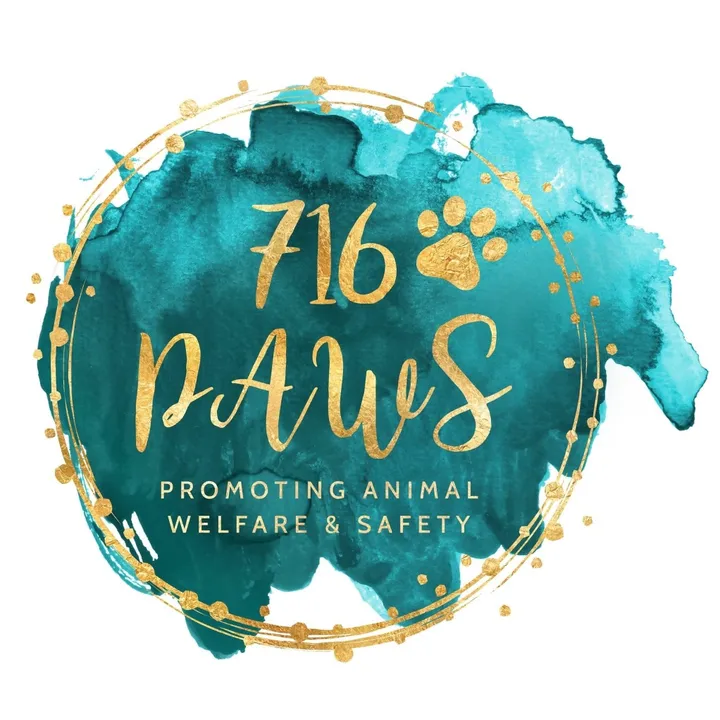@seven16paws