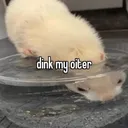 @jackpotsadgrrl