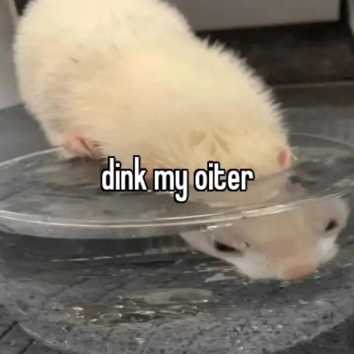 @jackpotsadgrrl