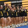 nphs.stunt