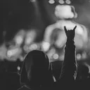 @altmusiccollection