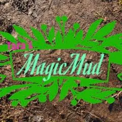 tarasmagicmud
