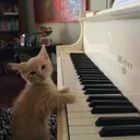@dskplayer