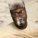 @ryanmarquesfanpage
