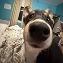@kalea.richwine