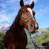 coloradooutfitter