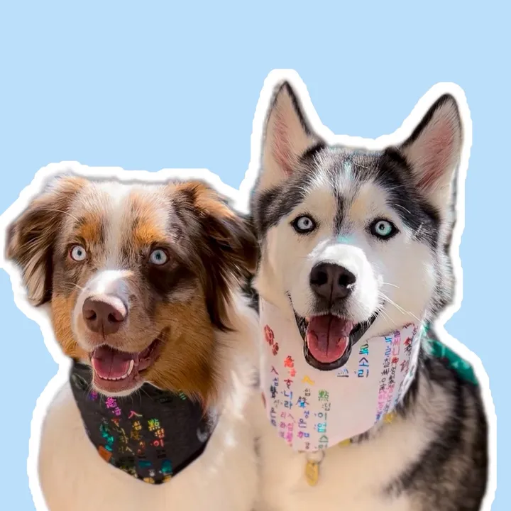 @kookiethehuskie