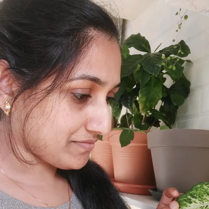 sushithashaijo
