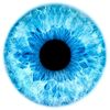 allanimaleye