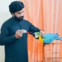 @mehtabpets160