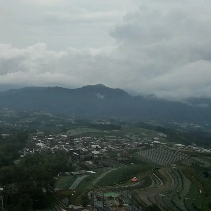 @sektorsejuk