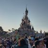 dlp.trip
