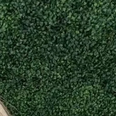 @newfantasystormm