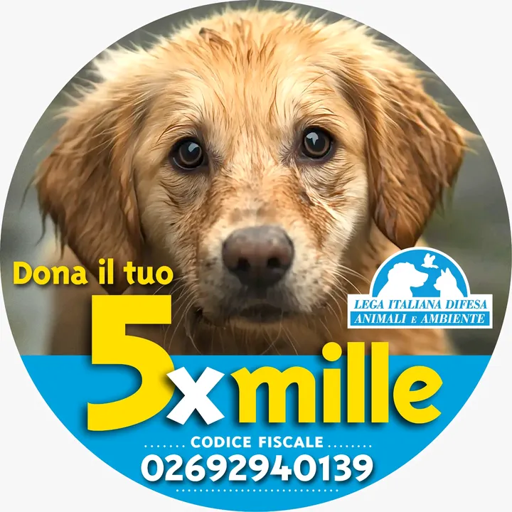 leidaa_italia