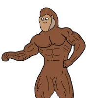 gympanzeee