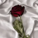 @silky._.imaginez
