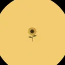 @user.29482858161