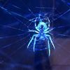 core_lover1