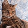 marmeladka.meoww