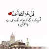 muzamil12811