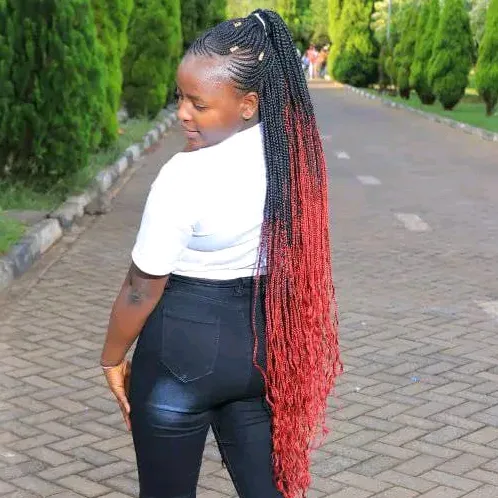 @boboo2544