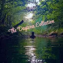 @the.daytona.collection