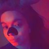hamjordyn67