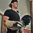 @sargents.gamefarm