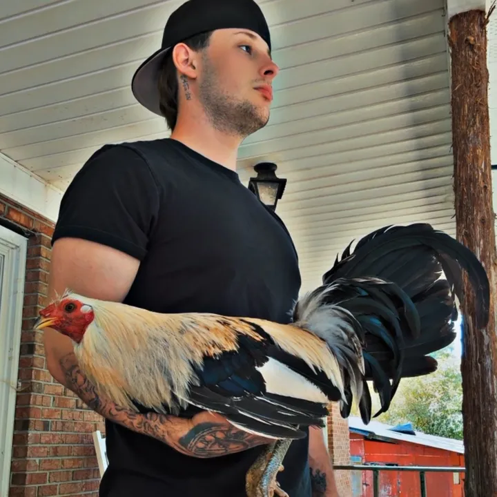 sargents.gamefarm
