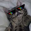 neonnekovr