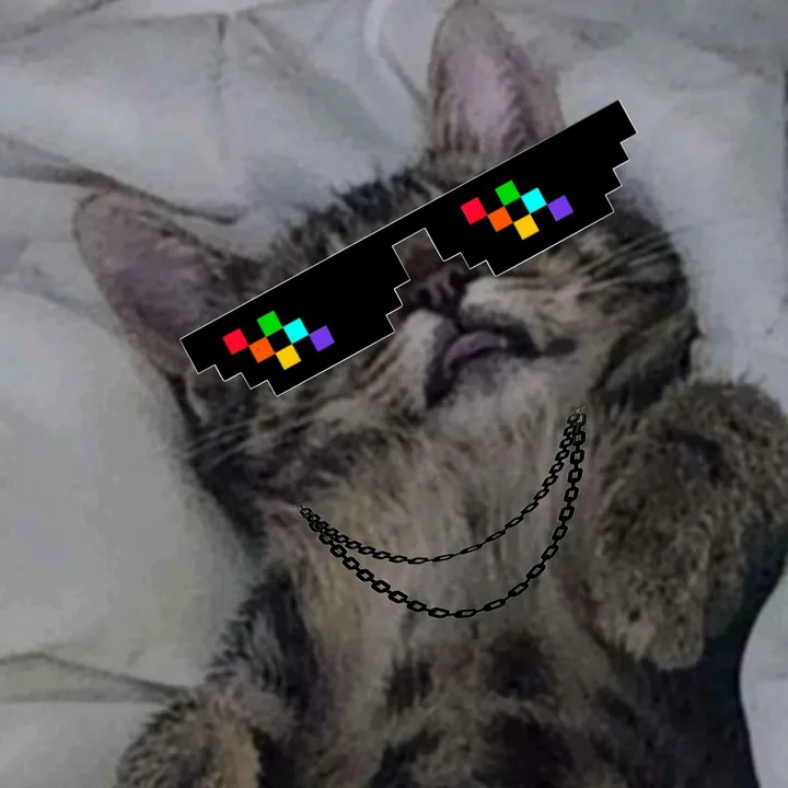 neonnekovr