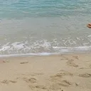 @secretuser.101219