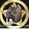 lonestarbullycamp