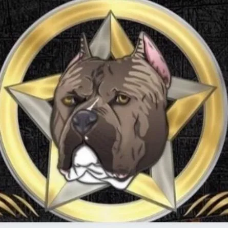 lonestarbullycamp