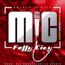@fellycity538