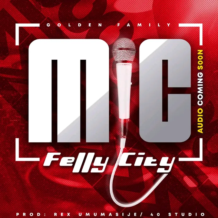 @fellycity538