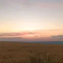 @vikku4853